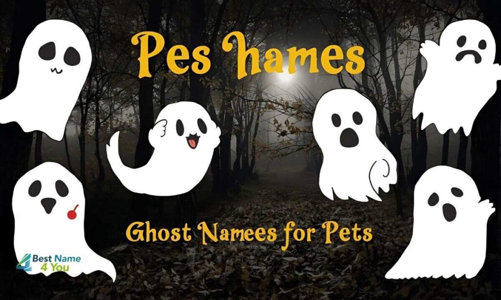 Ghost_Names_for_Pets
